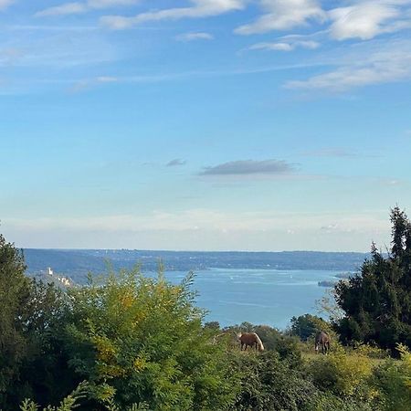 La Garconnierre Del Lago Maggiore Nebbiuno Buitenkant foto