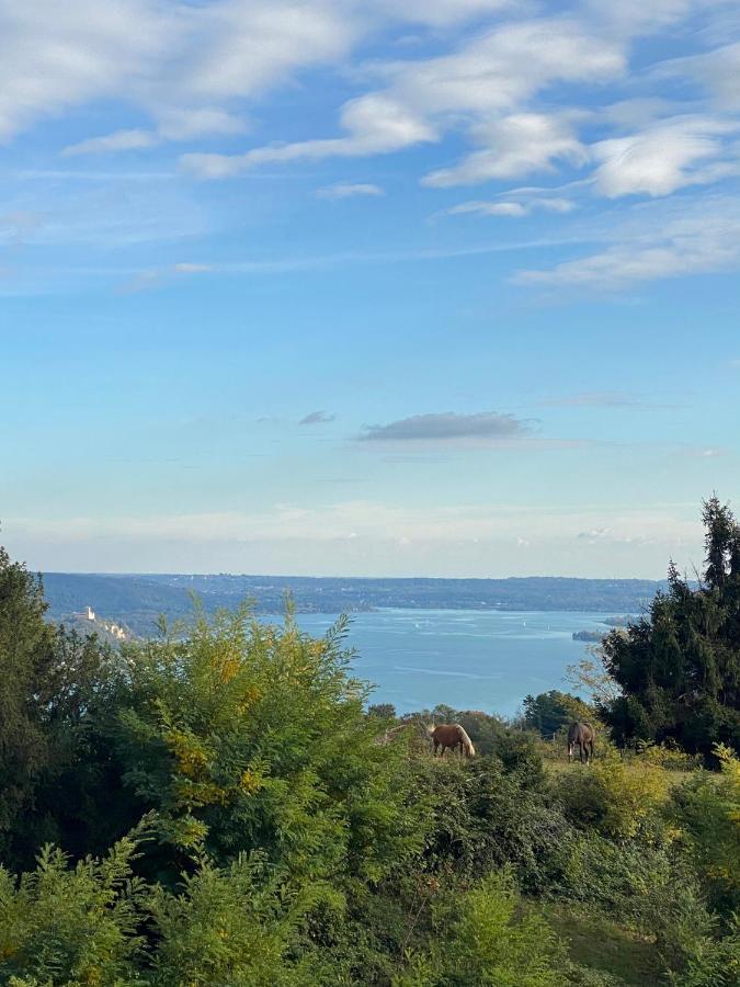 La Garconnierre Del Lago Maggiore Nebbiuno Buitenkant foto